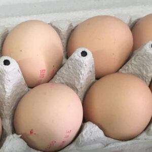 Les œufs